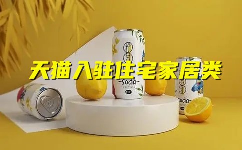 天猫入驻住宅家居类型需要什么条件？