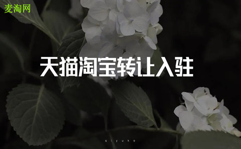 淘宝买卖平台该怎么选？