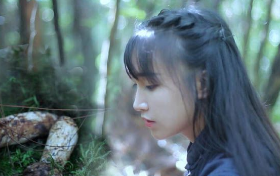 网红李子柒是哪里人？网红李子柒靠什么赚钱？