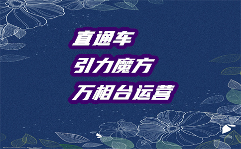 直通车主图