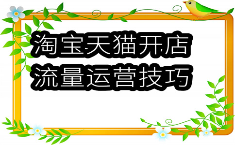 网店流量